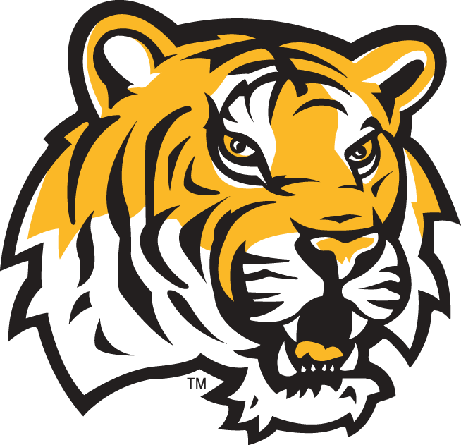 LSU Tigers 2002-Pres Alternate Logo v4 diy fabric transfer